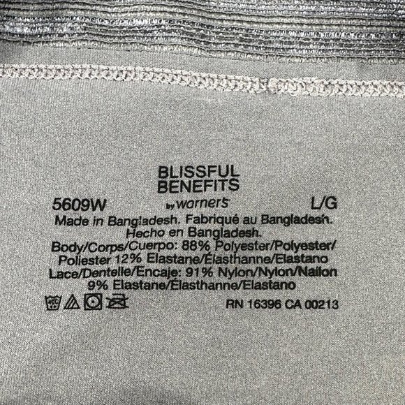 Blissful Benefits By Warner's Women's Size 7 Large Panty Lace Hipster Gray New - Picture 3 of 8